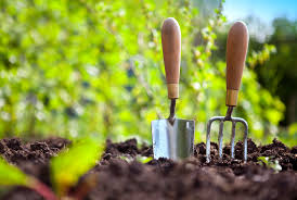 Finding The Best tree cutting services San Antonio TX