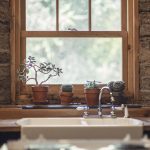Garlic, cactus, window — How to Hire a House Painter in Pittsburgh: A Comprehensive Guide