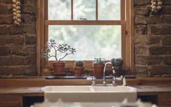 Garlic, cactus, window — How to Hire a House Painter in Pittsburgh: A Comprehensive Guide